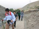 image12